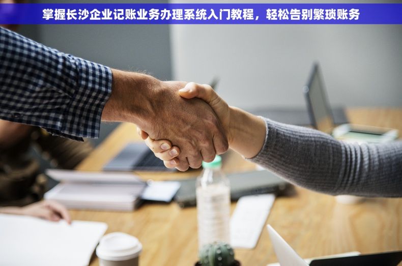 掌握长沙企业记账业务办理系统入门教程，轻松告别繁琐账务