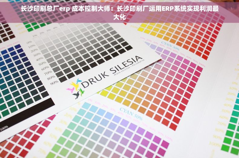 长沙印刷总厂erp 成本控制大师：长沙印刷厂运用ERP系统实现利润最大化
