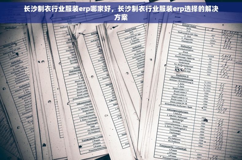 长沙制衣行业服装erp哪家好，长沙制衣行业服装erp选择的解决方案