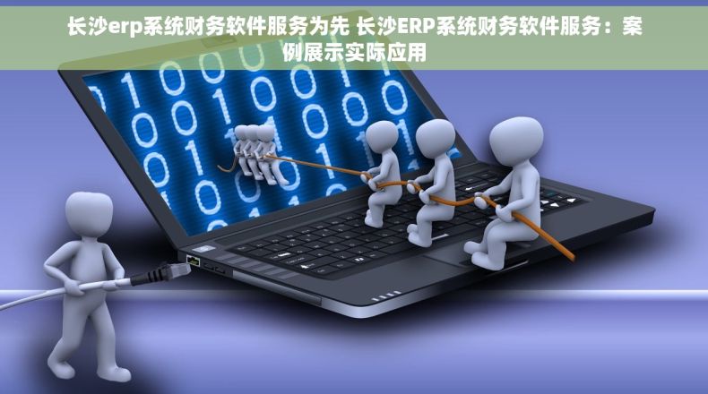长沙erp系统财务软件服务为先 长沙ERP系统财务软件服务：案例展示实际应用
