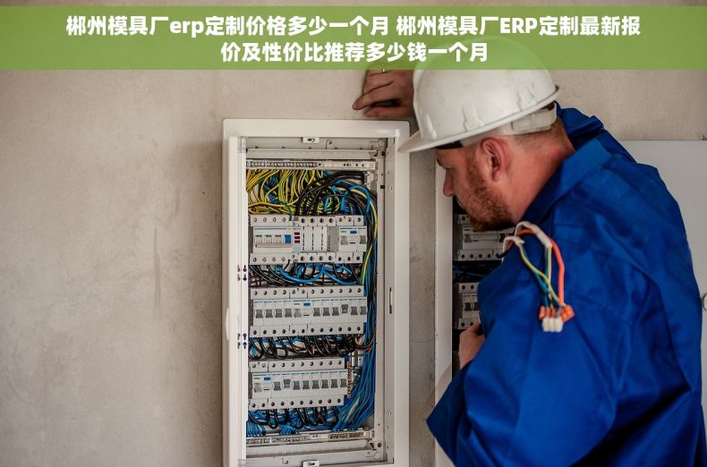 郴州模具厂erp定制价格多少一个月 郴州模具厂ERP定制最新报价及性价比推荐多少钱一个月