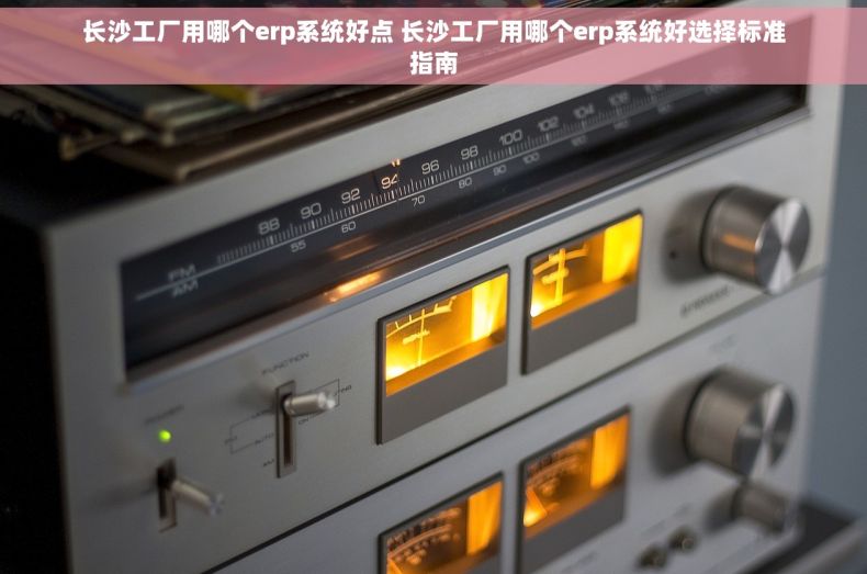 长沙工厂用哪个erp系统好点 长沙工厂用哪个erp系统好选择标准指南