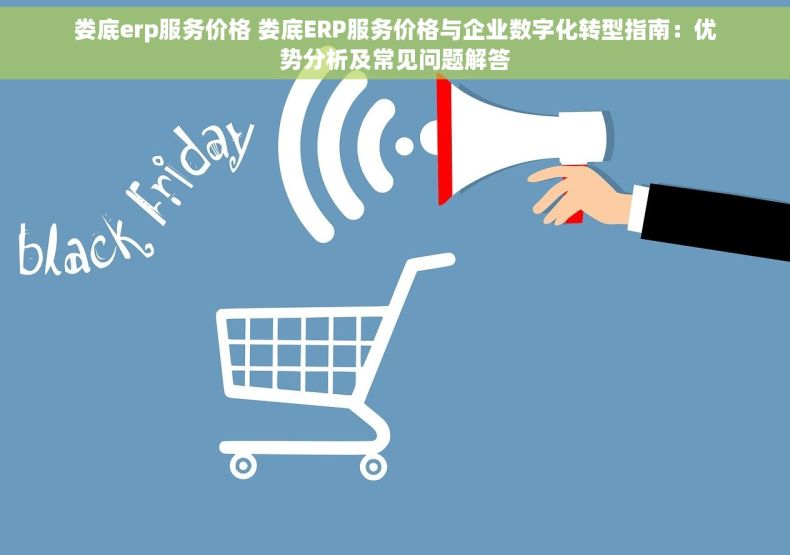 娄底erp服务价格 娄底ERP服务价格与企业数字化转型指南：优势分析及常见问题解答