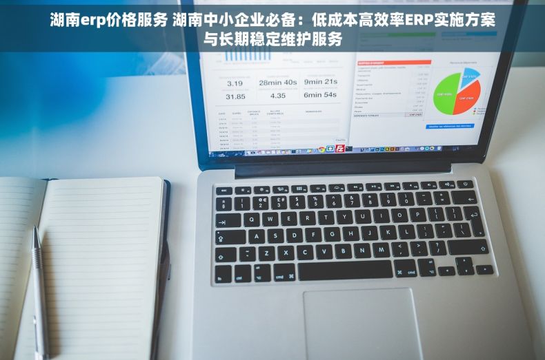 湖南erp价格服务 湖南中小企业必备：低成本高效率ERP实施方案与长期稳定维护服务