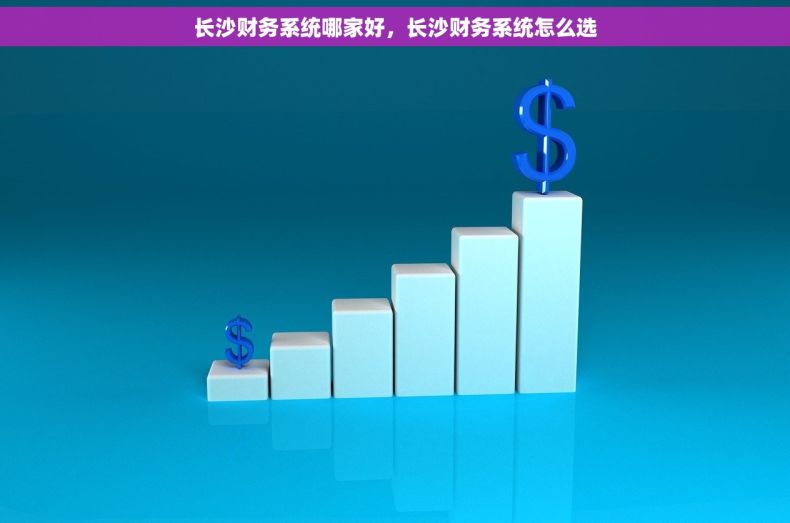 长沙财务系统哪家好，长沙财务系统怎么选