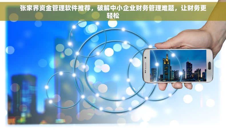 张家界资金管理软件推荐，破解中小企业财务管理难题，让财务更轻松