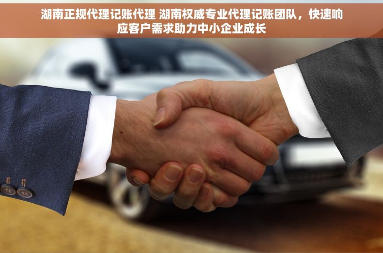 湖南正规代理记账代理 湖南权威专业代理记账团队，快速响应客户需求助力中小企业成长