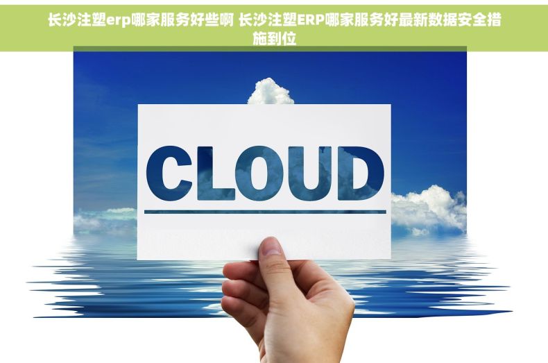 长沙注塑erp哪家服务好些啊 长沙注塑ERP哪家服务好最新数据安全措施到位