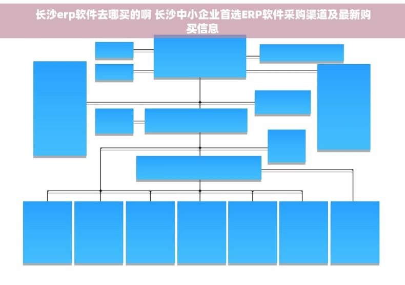 长沙erp软件去哪买的啊 长沙中小企业首选ERP软件采购渠道及最新购买信息