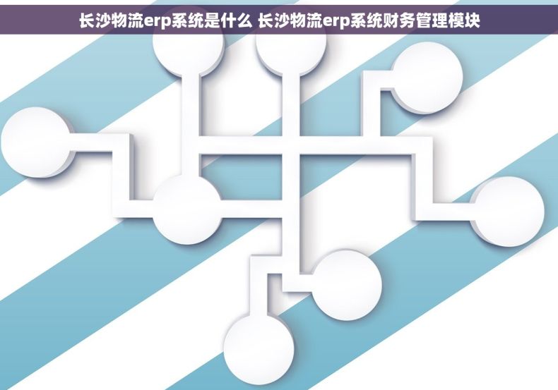 长沙物流erp系统是什么 长沙物流erp系统财务管理模块