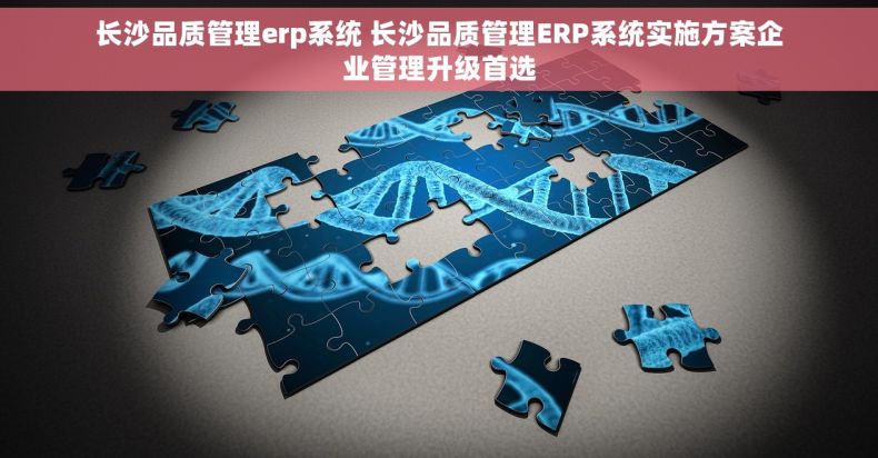 长沙品质管理erp系统 长沙品质管理ERP系统实施方案企业管理升级首选