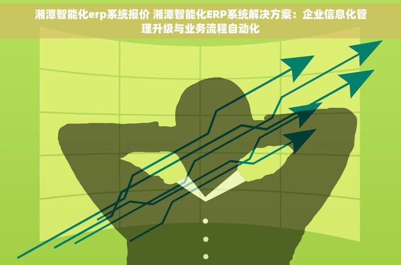 湘潭智能化erp系统报价 湘潭智能化ERP系统解决方案：企业信息化管理升级与业务流程自动化