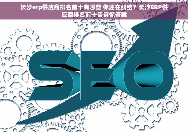 长沙erp供应商排名前十有哪些 你还在纠结？长沙ERP供应商排名前十告诉你答案