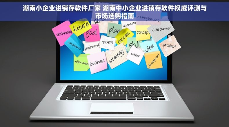 湖南小企业进销存软件厂家 湖南中小企业进销存软件权威评测与市场选购指南