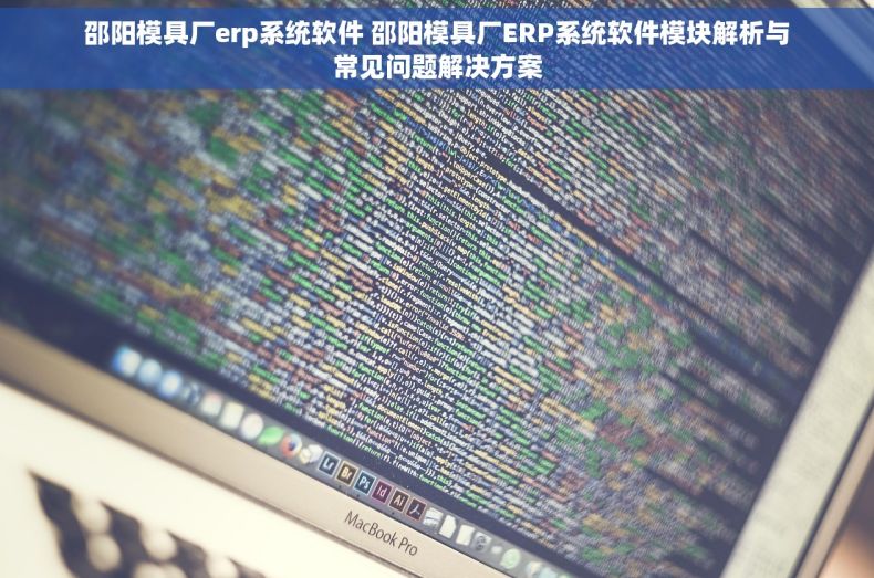 邵阳模具厂erp系统软件 邵阳模具厂ERP系统软件模块解析与常见问题解决方案