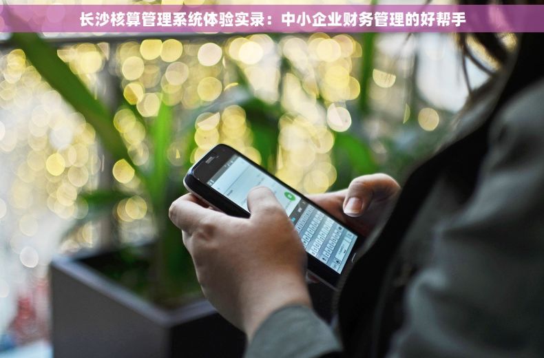 长沙核算管理系统体验实录：中小企业财务管理的好帮手