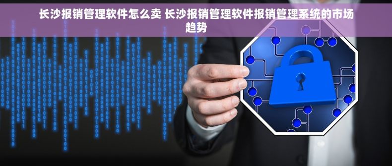 长沙报销管理软件怎么卖 长沙报销管理软件报销管理系统的市场趋势