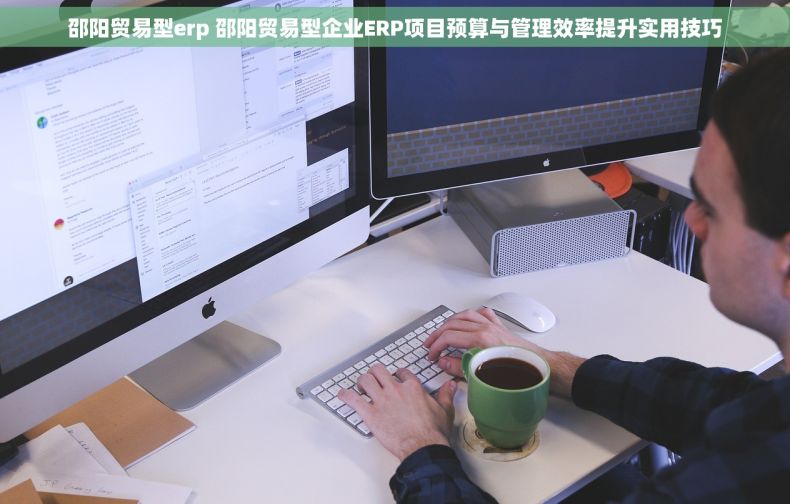 邵阳贸易型erp 邵阳贸易型企业ERP项目预算与管理效率提升实用技巧