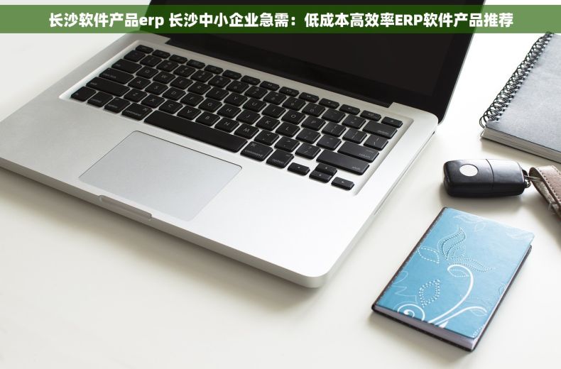 长沙软件产品erp 长沙中小企业急需：低成本高效率ERP软件产品推荐