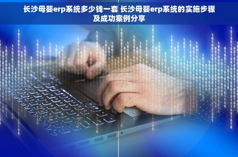长沙母婴erp系统多少钱一套 长沙母婴erp系统的实施步骤及成功案例分享