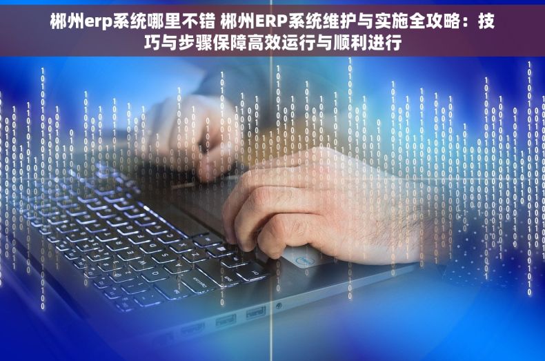 郴州erp系统哪里不错 郴州ERP系统维护与实施全攻略：技巧与步骤保障高效运行与顺利进行