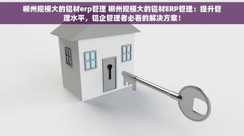 郴州规模大的铝材erp管理 郴州规模大的铝材ERP管理：提升管理水平，铝企管理者必看的解决方案！