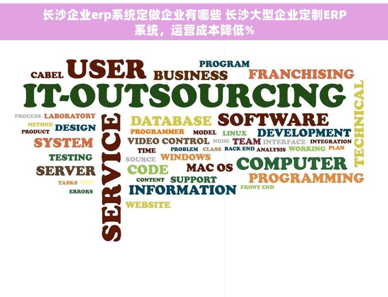 长沙企业erp系统定做企业有哪些 长沙大型企业定制ERP系统，运营成本降低%