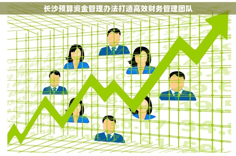 长沙预算资金管理办法打造高效财务管理团队