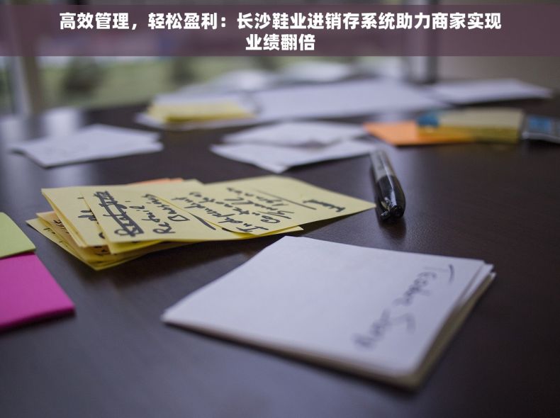 高效管理，轻松盈利：长沙鞋业进销存系统助力商家实现业绩翻倍