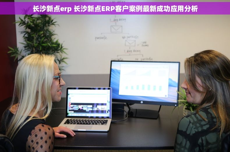 长沙新点erp 长沙新点ERP客户案例最新成功应用分析