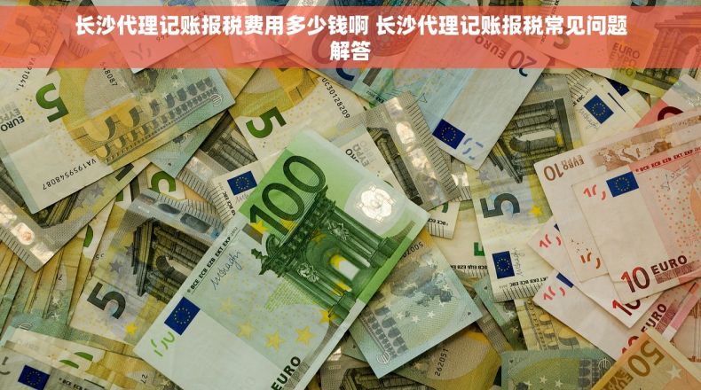 长沙代理记账报税费用多少钱啊 长沙代理记账报税常见问题解答