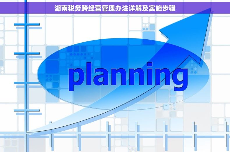 湖南税务跨经营管理办法详解及实施步骤