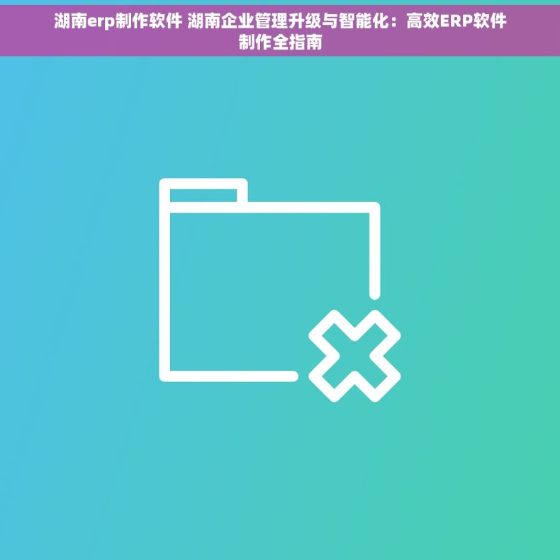 湖南erp制作软件 湖南企业管理升级与智能化：高效ERP软件制作全指南