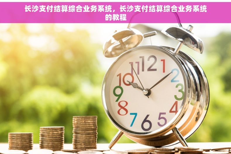 长沙支付结算综合业务系统，长沙支付结算综合业务系统的教程