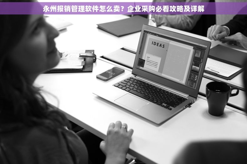 永州报销管理软件怎么卖？企业采购必看攻略及详解