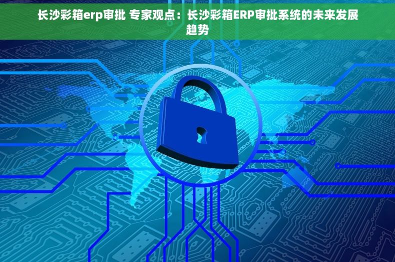 长沙彩箱erp审批 专家观点：长沙彩箱ERP审批系统的未来发展趋势