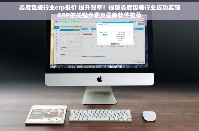 娄底包装行业erp报价 提升效率！揭秘娄底包装行业成功实施ERP的关键步骤及最新软件推荐