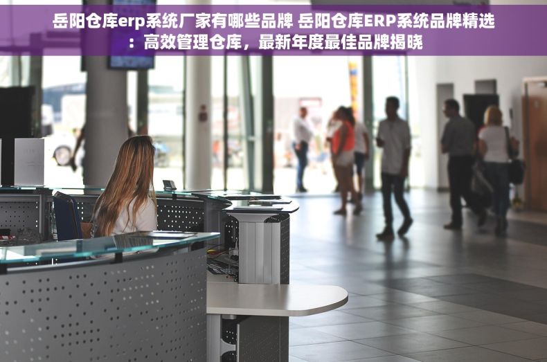 岳阳仓库erp系统厂家有哪些品牌 岳阳仓库ERP系统品牌精选：高效管理仓库，最新年度最佳品牌揭晓