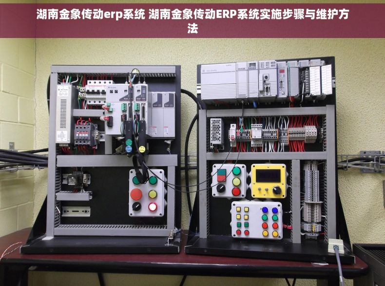 湖南金象传动erp系统 湖南金象传动ERP系统实施步骤与维护方法