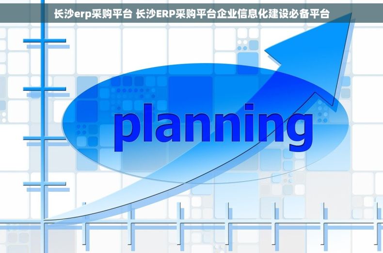 长沙erp采购平台 长沙ERP采购平台企业信息化建设必备平台