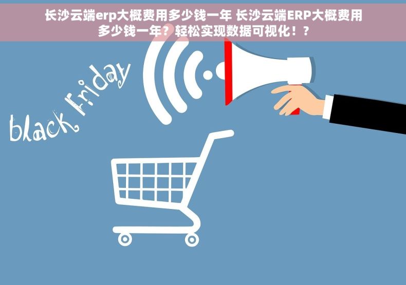 长沙云端erp大概费用多少钱一年 长沙云端ERP大概费用多少钱一年？轻松实现数据可视化！?