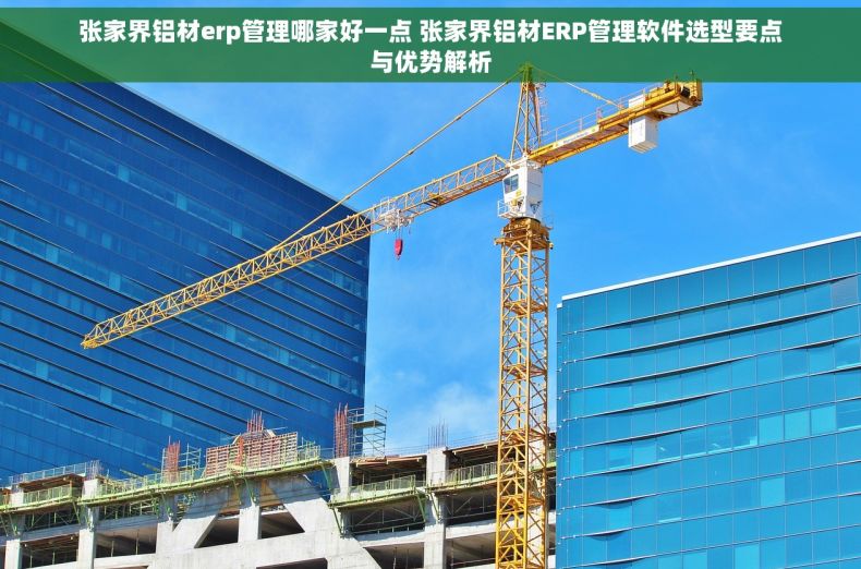 张家界铝材erp管理哪家好一点 张家界铝材ERP管理软件选型要点与优势解析