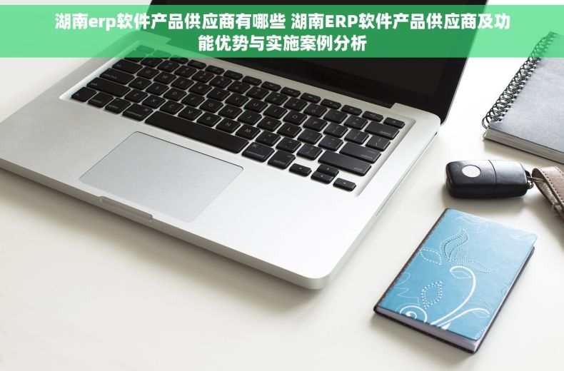 湖南erp软件产品供应商有哪些 湖南ERP软件产品供应商及功能优势与实施案例分析