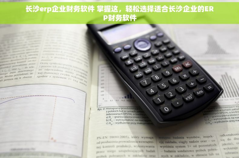 长沙erp企业财务软件 掌握这，轻松选择适合长沙企业的ERP财务软件