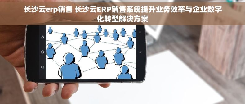 长沙云erp销售 长沙云ERP销售系统提升业务效率与企业数字化转型解决方案
