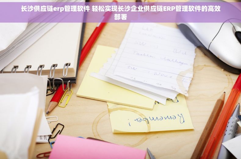 长沙供应链erp管理软件 轻松实现长沙企业供应链ERP管理软件的高效部署