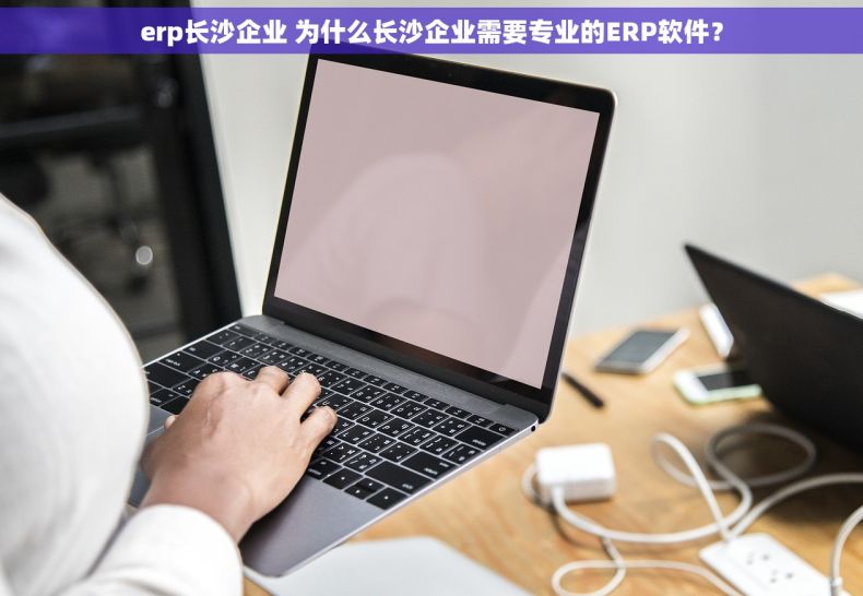erp长沙企业 为什么长沙企业需要专业的ERP软件？