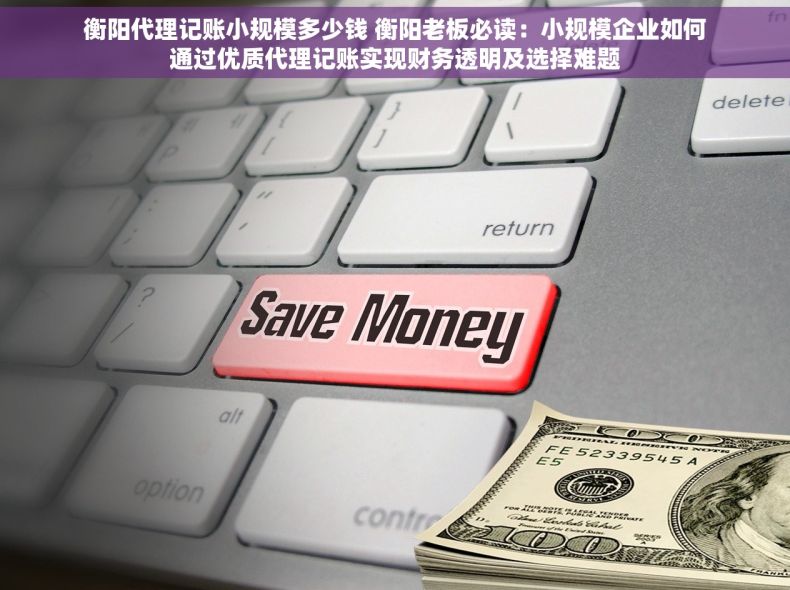 衡阳代理记账小规模多少钱 衡阳老板必读：小规模企业如何通过优质代理记账实现财务透明及选择难题