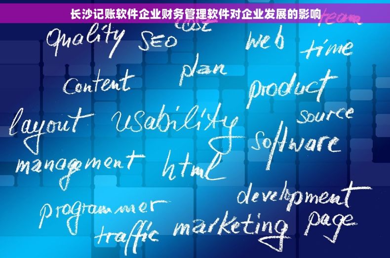 长沙记账软件企业财务管理软件对企业发展的影响