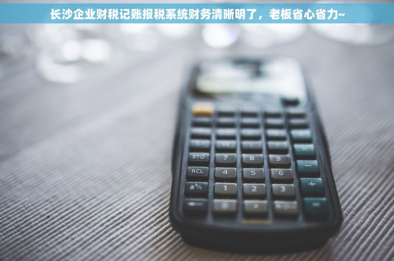 长沙企业财税记账报税系统财务清晰明了，老板省心省力~